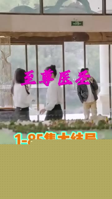 至尊医圣