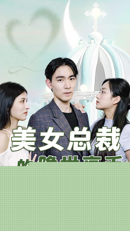 美女总裁的隐世高手