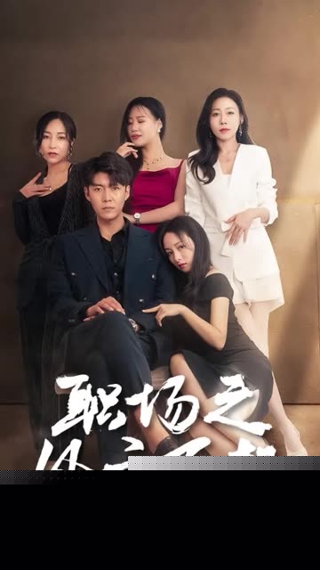 职场之风云再起