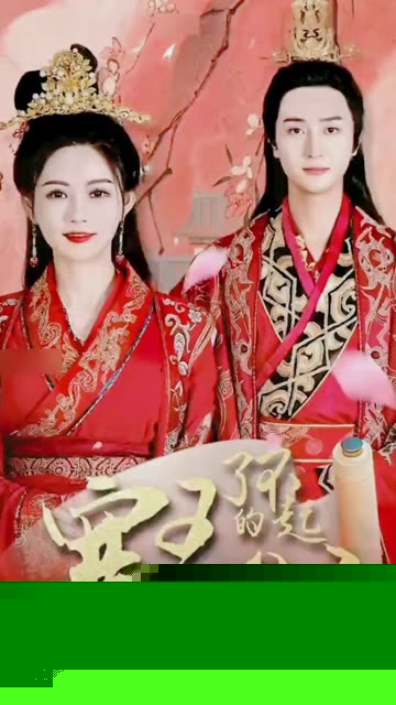 了不起的寒王妃