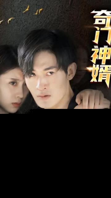 奇门神婿