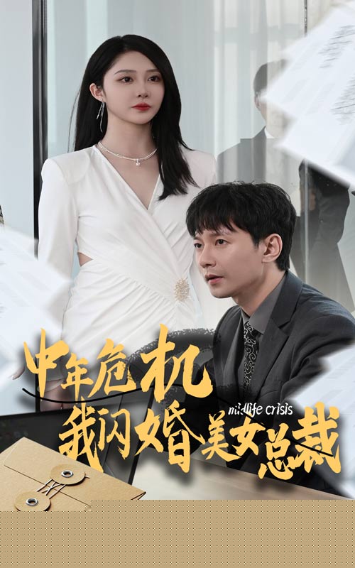 中年危机我闪婚美女总裁