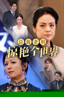 总裁老妈惊艳全世界