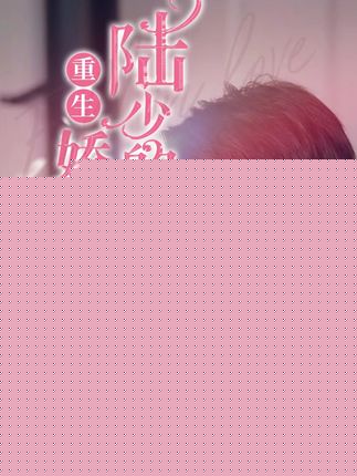 陆少的重生娇妻