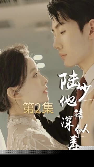 陆少他情深似毒