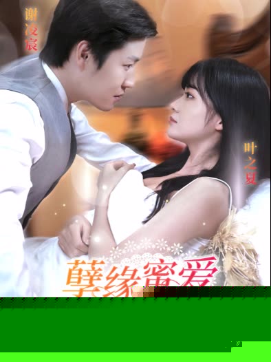 孽缘蜜爱谢少求放过