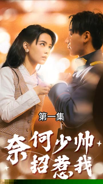 奈何少帅招惹我
