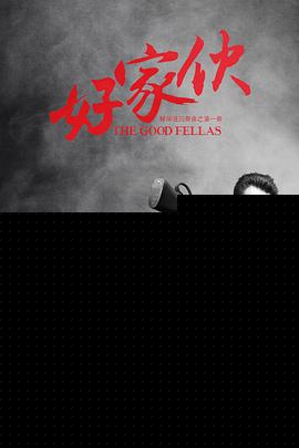 好家伙2016