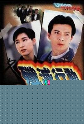 歼灭行动粤语