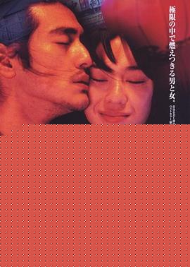 不夜城【影视解说】
