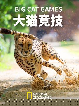 大猫竞技
