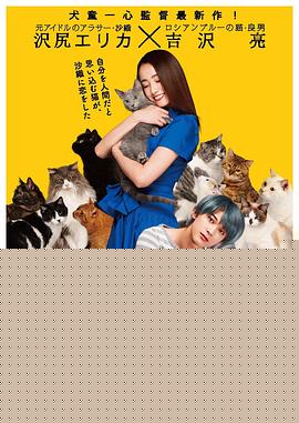 猫是要抱着的