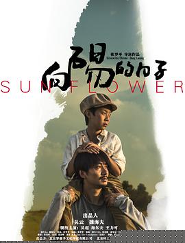 向阳的日子