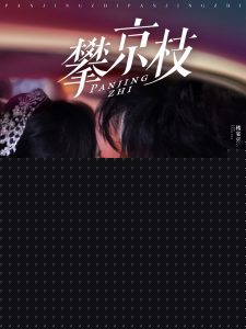 攀京枝80集
