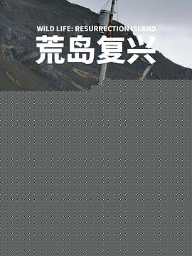 荒岛复兴