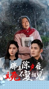 那年除夕后生死不复相见