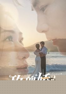 玫瑰娇藏