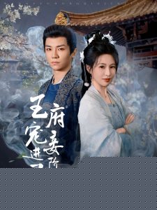 王府宠妾进阶录