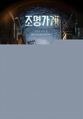 照明商店2024