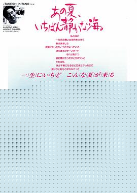 那年夏天，宁静的海【影视解说】