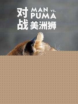 对战美洲狮