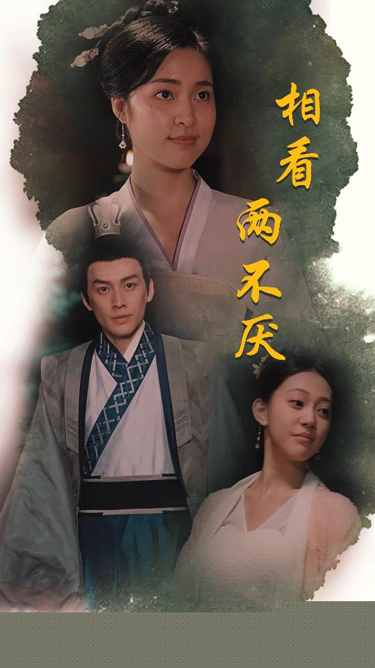 相看两不厌&这个王妃不好惹