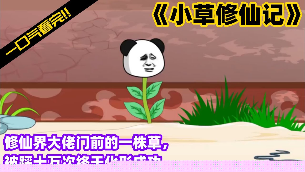 小草修仙记