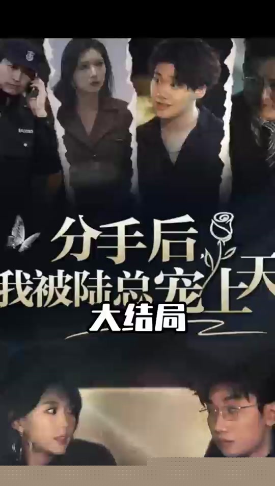 分手后，我被陆总宠上天