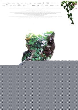幻梦墓园