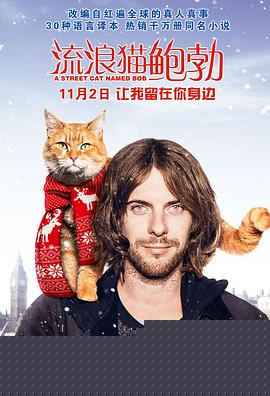 流浪猫鲍勃【影视解说】