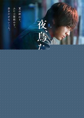 夜鸟啼鸣