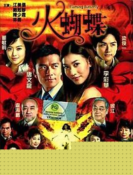 火蝴蝶2008