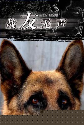 战友无声
