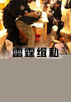 雷霆缉私