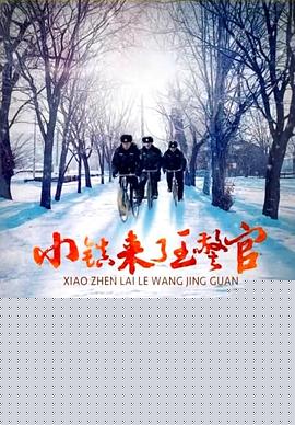 小镇来了王警官