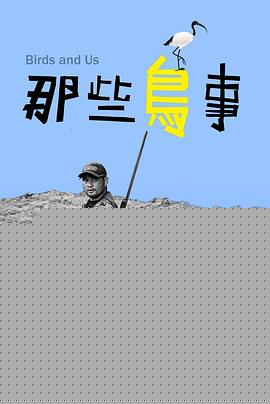那些鸟事