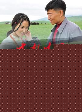 甘南情歌