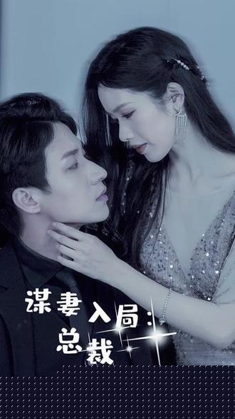 谋妻入局：总裁深夜来访