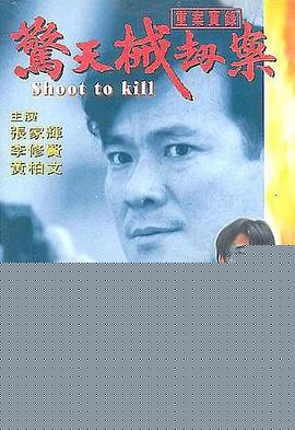 重案实录之惊天械劫案