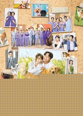 宠爱PetPet粤语