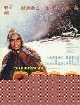 林冲夜奔国语