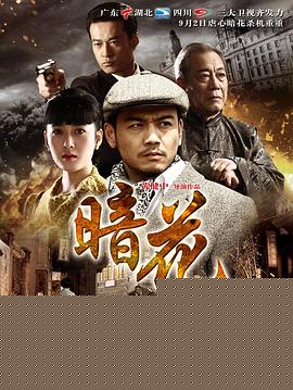 暗花2012
