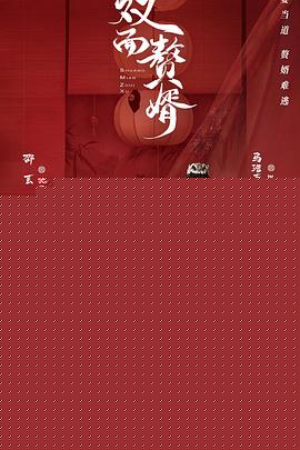 双面赘婿