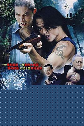 大追捕2008