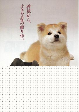 忠犬八公物语【影视解说】