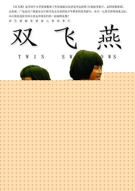 双飞燕【影视解说】