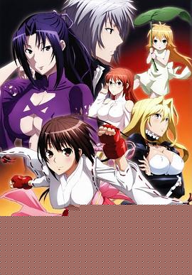鹡鸰女神第二季