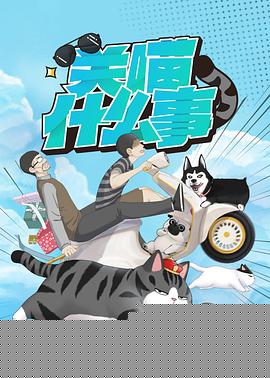 关喵什么事