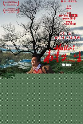 Hello，树先生