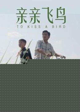 亲亲飞鸟